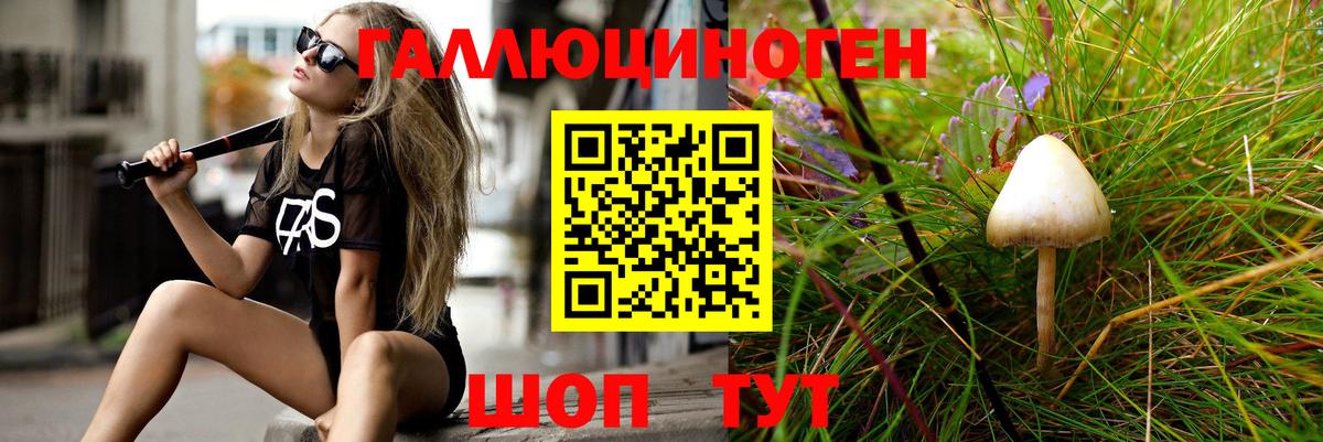 Галлюциногенные грибы Psilocybine cubensis Карачаевск